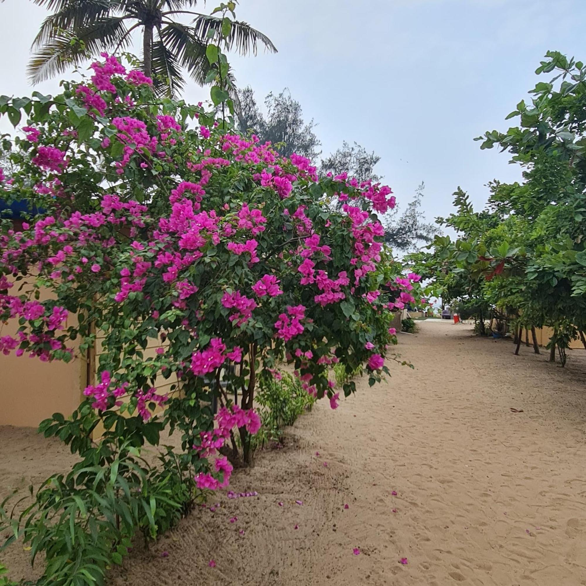 Love Temple Beach Resort Арамболь Экстерьер фото